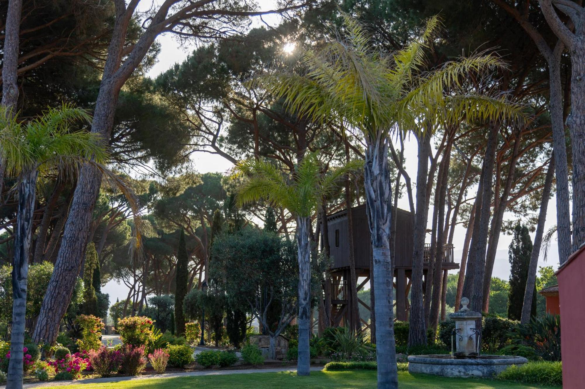 فندق La Signoria كالفي المظهر الخارجي الصورة